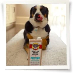 Brutus Broth Bone Broth Beef Flavor Hip & Joint Human-Grade Dog Food Topper, 32-oz Box & Brutus Broth Bone Broth Chicken Flavor Hip & Joint Human-Grade Dog Food Topper, 32-oz Box -Snuggle Paws 916422 PT4. AC SS1800 V1689883429