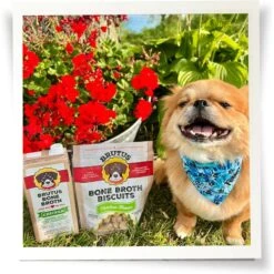 Brutus Broth Bone Broth Beef Flavor Hip & Joint Human-Grade Dog Food Topper, 32-oz Box & Brutus Broth Bone Broth Chicken Flavor Hip & Joint Human-Grade Dog Food Topper, 32-oz Box -Snuggle Paws 916422 PT8. AC SS1800 V1689883379