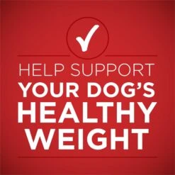 Purina ONE +Plus Adult Tender Cuts In Gravy Healthy Weight Lamb & Brown Rice Entree Canned Dog Food 13 Purina ONE +Plus Adult Tender Cuts In Gravy Healthy Weight Lamb & Brown Rice Entree Canned Dog Food -Snuggle Paws 91789 PT2. AC SS1800 V1671807371