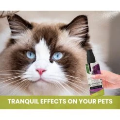 Gou Gou Pets Calming Dog & Cat Spray For Anxiety, 8-oz Bottle 13 Gou Gou Pets Calming Dog & Cat Spray For Anxiety, 8-oz Bottle -Snuggle Paws 918054 PT3. AC SS1800 V1694442987