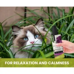 Gou Gou Pets Calming Dog & Cat Spray For Anxiety, 8-oz Bottle 14 Gou Gou Pets Calming Dog & Cat Spray For Anxiety, 8-oz Bottle -Snuggle Paws 918054 PT4. AC SS1800 V1694443050