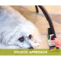 Gou Gou Pets Calming Dog & Cat Spray For Anxiety, 8-oz Bottle 15 Gou Gou Pets Calming Dog & Cat Spray For Anxiety, 8-oz Bottle -Snuggle Paws 918054 PT5. AC SS1800 V1694443047