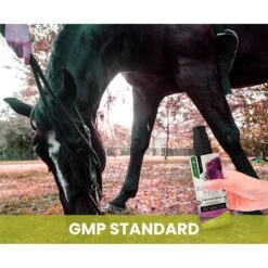 Gou Gou Pets Calming Dog & Cat Spray For Anxiety, 8-oz Bottle 17 Gou Gou Pets Calming Dog & Cat Spray For Anxiety, 8-oz Bottle -Snuggle Paws 918054 PT7. AC SS1800 V1694442991