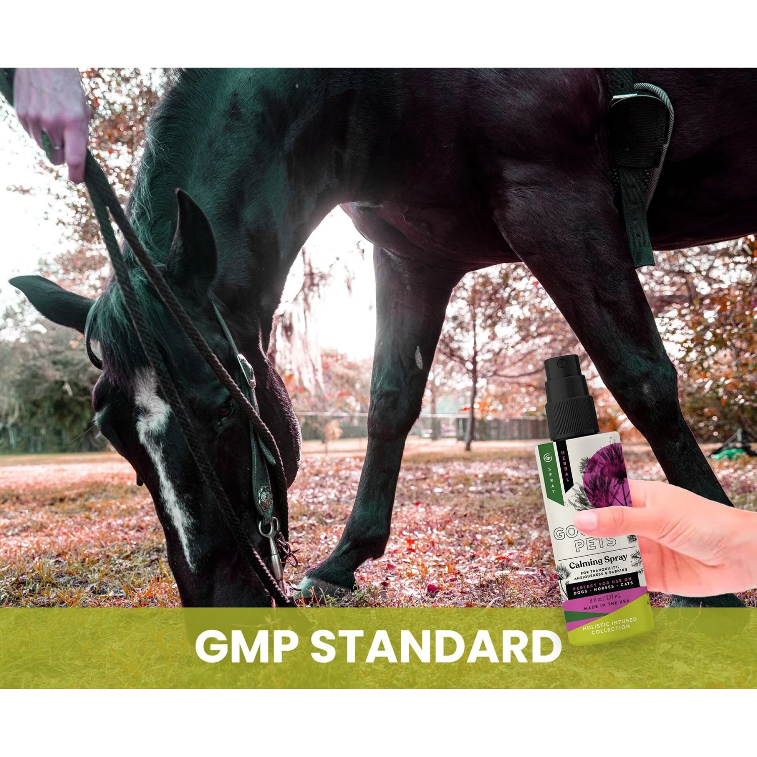 Gou Gou Pets Calming Dog & Cat Spray For Anxiety, 8-oz Bottle 10 Gou Gou Pets Calming Dog & Cat Spray For Anxiety, 8-oz Bottle - Image 8