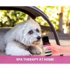 Gou Gou Pets Calming Essential Oil Blend For Anxiety Dog & Cat Spray, 15-ml Bottle -Snuggle Paws 918070 PT5. AC SS1800 V1694442925