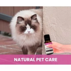 Gou Gou Pets Calming Essential Oil Blend For Anxiety Dog & Cat Spray, 15-ml Bottle -Snuggle Paws 918070 PT7. AC SS1800 V1694442991