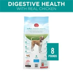 Purina ONE Plus Digestive Health Formula Dry Dog Food, 8-lb Bag 12 Purina ONE Plus Digestive Health Formula Dry Dog Food, 8-lb Bag -Snuggle Paws 918766 PT1. AC SS1800 V1694624843