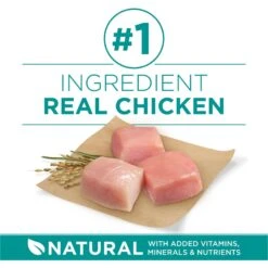 Purina ONE Plus Digestive Health Formula Dry Dog Food, 8-lb Bag 14 Purina ONE Plus Digestive Health Formula Dry Dog Food, 8-lb Bag -Snuggle Paws 918766 PT3. AC SS1800 V1694624267