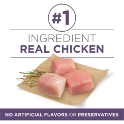 Purina ONE High Protein + Vibrant Maturity 7 Plus Formula Dry Senior Dog Food -Snuggle Paws 918782 PT2. AC SS1800 V1694624325