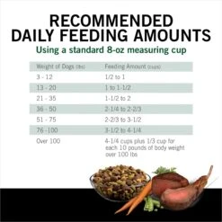 Dog Chow High Protein Recipe With Real Lamb & Beef Flavor Dry Dog Food, 44-lb Bag -Snuggle Paws 918894 PT8. AC SS1800 V1694623174