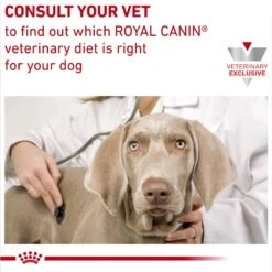 Royal Canin Veterinary Diet Hydrolyzed Protein Dry Puppy Dog Food -Snuggle Paws 919486 PT8. AC SS1800 V1695054512
