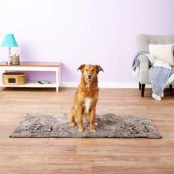 Dog Gone Smart Runner Dirty Dog Doormat, X-Large -Snuggle Paws 92090 PT8. AC SS1800 V1518451087