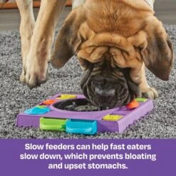 Brightkins DJ Doggo Puzzle Feeder Dog Toy -Snuggle Paws 930054 PT3. AC SS1800 V1698766697