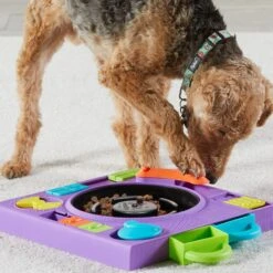Brightkins DJ Doggo Puzzle Feeder Dog Toy -Snuggle Paws 930054 PT4. AC SS1800 V1698765989