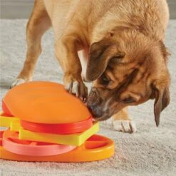 Brightkins Pupstrami Surprise! Treat Puzzle Dog Toy 14 Brightkins Pupstrami Surprise! Treat Puzzle Dog Toy -Snuggle Paws 930102 PT4. AC SS1800 V1698765995