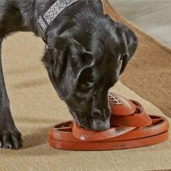 Brightkins Touchdown Time! Treat Puzzle Dog Toy -Snuggle Paws 930118 PT3. AC SS1800 V1698766048