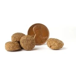 VICTOR Select Chicken Meal & Brown Rice Formula Dry Dog Food -Snuggle Paws 93046 PT3. AC SS1800 V1677684726