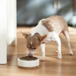 VICTOR Classic Hi-Pro Plus Formula Dry Dog Food -Snuggle Paws 93064 PT3. AC SS1800 V1682710810