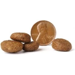 VICTOR Purpose Senior Healthy Weight Dry Dog Food -Snuggle Paws 93070 PT3. AC SS1800 V1677680750