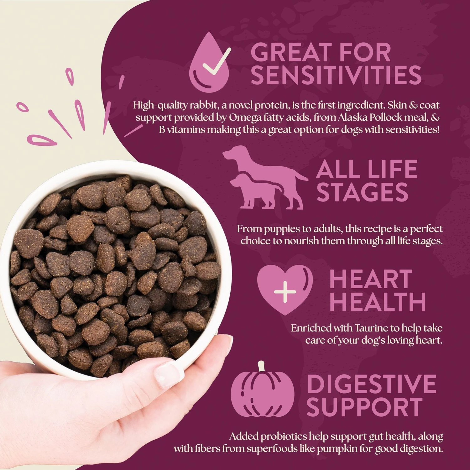 Earthborn Holistic Venture Limited Ingredient Grain-Free Rabbit Meal & Pumpkin Dry Dog Food 6 Earthborn Holistic Venture Limited Ingredient Grain-Free Rabbit Meal & Pumpkin Dry Dog Food - Image 4