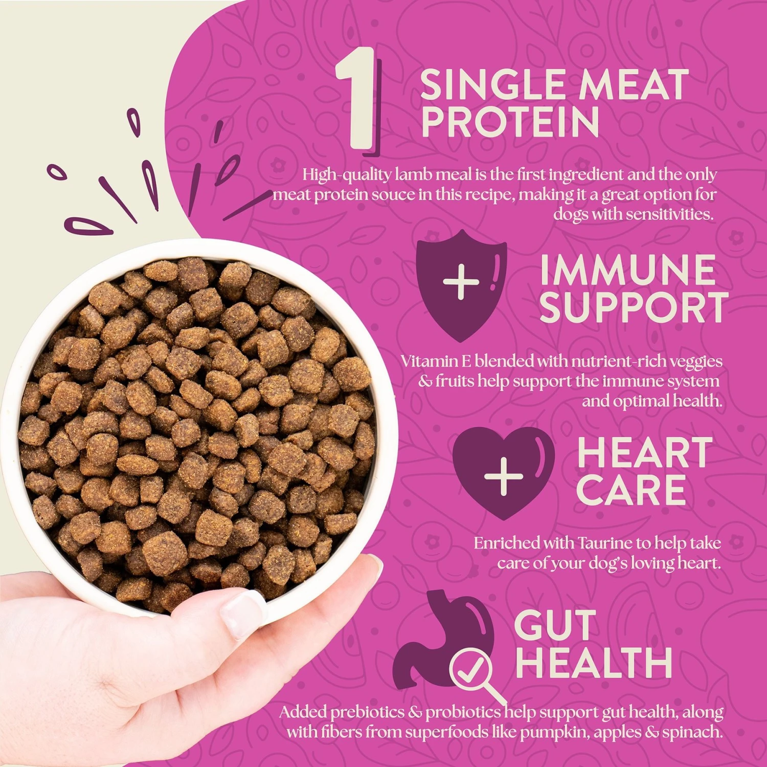 Earthborn Holistic Meadow Feast Lamb Meal & Vegetables Grain-Free Dry Dog Food 6 Earthborn Holistic Meadow Feast Lamb Meal & Vegetables Grain-Free Dry Dog Food - Image 4