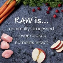 Instinct Raw Boost Small Breed Grain-Free Recipe With Real Chicken & Freeze-Dried Raw Pieces Dry Dog Food 12 Instinct Raw Boost Small Breed Grain-Free Recipe With Real Chicken & Freeze-Dried Raw Pieces Dry Dog Food -Snuggle Paws 93330 PT3. AC SS1800 V1548800876