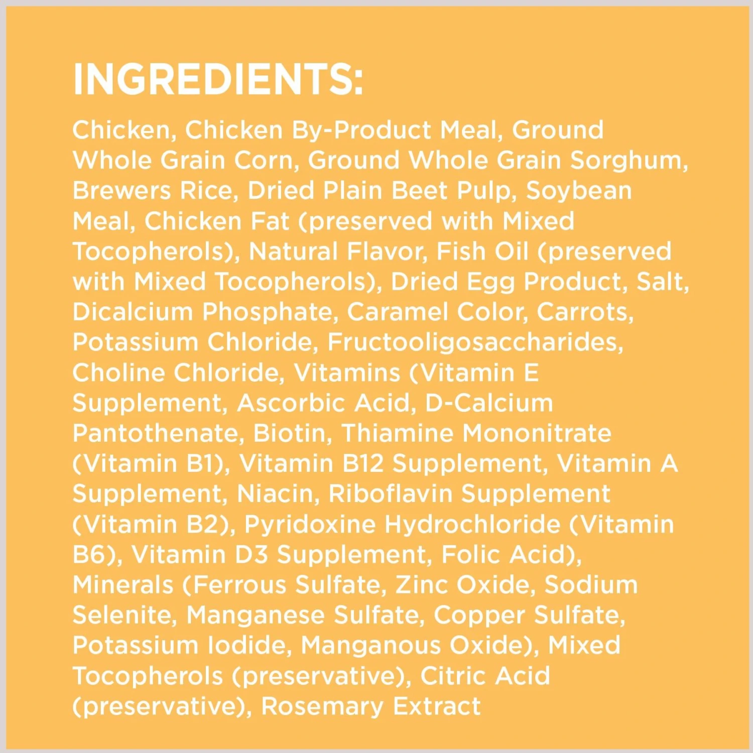 Iams Proactive Health Puppy High Protein DHA Formula With Real Chicken Dry Dog Food & Iams ProActive Health Classic Ground With Chicken & Rice Puppy Wet Dog Food 6 Iams Proactive Health Puppy High Protein DHA Formula With Real Chicken Dry Dog Food & Iams ProActive Health Classic Ground With Chicken & Rice Puppy Wet Dog Food - Image 4