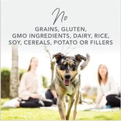 K9 Natural Beef Feast Freeze-Dried Dog Food Topper -Snuggle Paws 93462 PT2. AC SS1800 V1693244608