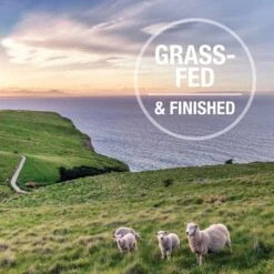 K9 Natural Beef Feast Freeze-Dried Dog Food Topper -Snuggle Paws 93462 PT5. AC SS1800 V1693235555