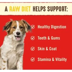 Stella & Chewy's Chewy's Chicken Dinner Patties Freeze-Dried Raw Dog Food -Snuggle Paws 93475 PT3. AC SS1800 V1516233105