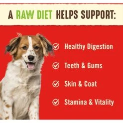 Stella & Chewy's Duck Duck Goose Dinner Patties Freeze-Dried Raw Dog Food -Snuggle Paws 93476 PT3. AC SS1800 V1516233088