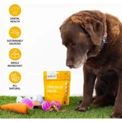 Good Pet Kitchen Chicken Neck Air Dried Dog Treat, 2.8-oz Bag -Snuggle Paws 937518 PT2. AC SS1800 V1692721116