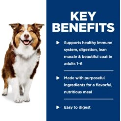 Hill's Science Diet Adult Healthy Cuisine Roasted Chicken, Carrots & Spinach Stew Canned Dog Food 16 Hill's Science Diet Adult Healthy Cuisine Roasted Chicken, Carrots & Spinach Stew Canned Dog Food -Snuggle Paws 94002 PT5. AC SS1800 V1598142363