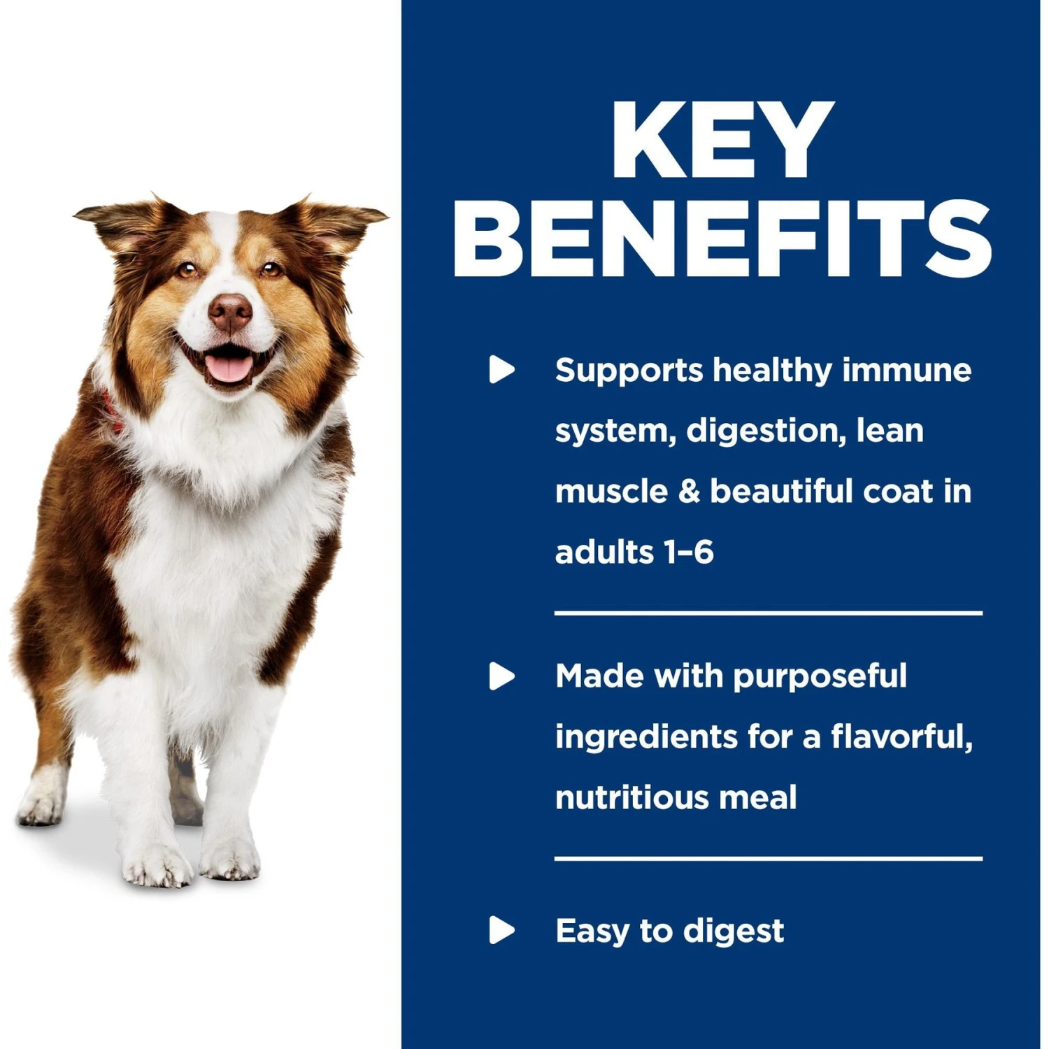 Hill's Science Diet Adult Healthy Cuisine Roasted Chicken, Carrots & Spinach Stew Canned Dog Food 8 Hill's Science Diet Adult Healthy Cuisine Roasted Chicken, Carrots & Spinach Stew Canned Dog Food - Image 6