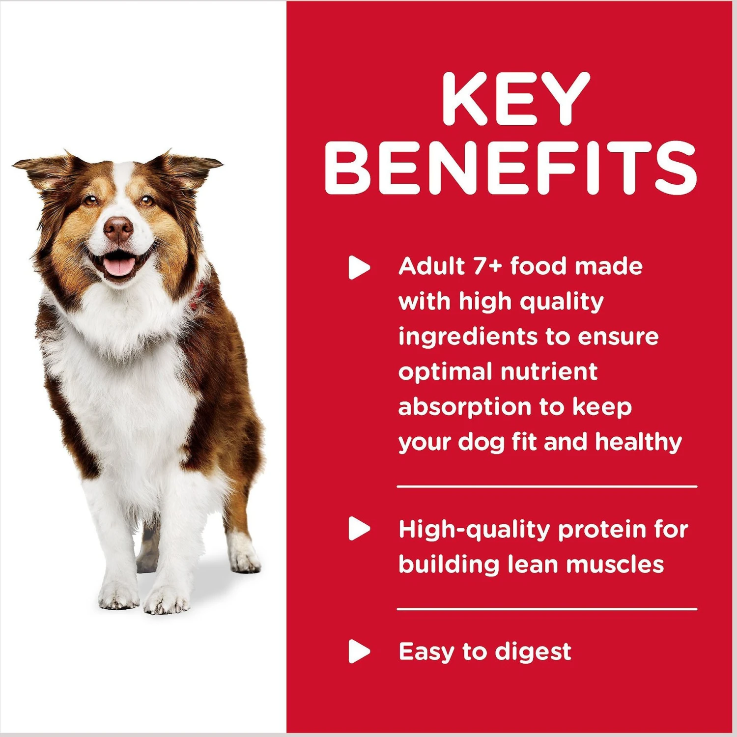 Hill's Science Diet Adult 7+ Healthy Cuisine Roasted Chicken, Carrots & Spinach Stew Canned Dog Food 6 Hill's Science Diet Adult 7+ Healthy Cuisine Roasted Chicken, Carrots & Spinach Stew Canned Dog Food - Image 4