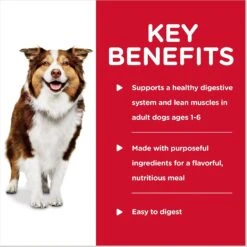 Hill's Science Diet Adult Healthy Cuisine Braised Beef, Carrots & Peas Stew Canned Dog Food -Snuggle Paws 94006 PT3. AC SS1800 V1598148653