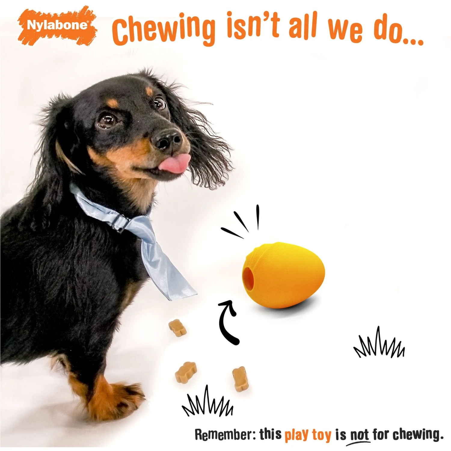 Nylabone Creative Play Eggi Treat Dispenser Dog Toy 4 Nylabone Creative Play Eggi Treat Dispenser Dog Toy - Image 2