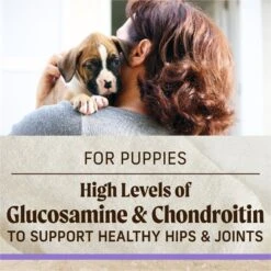 Merrick Classic Healthy Grains Dry Dog Food Puppy Recipe 19 Merrick Classic Healthy Grains Dry Dog Food Puppy Recipe -Snuggle Paws 94124 PT8. AC SS1800 V1626191791