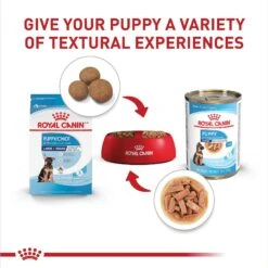 Royal Canin Size Health Nutrition Large Puppy Thin Slices In Gravy Wet Dog Food, 13-oz Can, Case Of 6 15 Royal Canin Size Health Nutrition Large Puppy Thin Slices In Gravy Wet Dog Food, 13-oz Can, Case Of 6 -Snuggle Paws 950334 PT4. AC SS1800 V1693497928