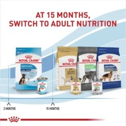 Royal Canin Size Health Nutrition Large Puppy Thin Slices In Gravy Wet Dog Food, 13-oz Can, Case Of 6 16 Royal Canin Size Health Nutrition Large Puppy Thin Slices In Gravy Wet Dog Food, 13-oz Can, Case Of 6 -Snuggle Paws 950334 PT5. AC SS1800 V1693497982