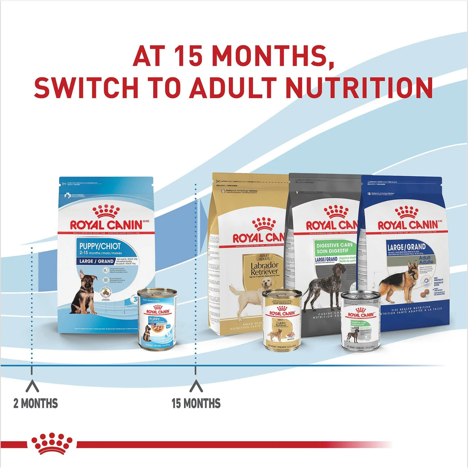 Royal Canin Size Health Nutrition Large Puppy Thin Slices In Gravy Wet Dog Food, 13-oz Can, Case Of 6 8 Royal Canin Size Health Nutrition Large Puppy Thin Slices In Gravy Wet Dog Food, 13-oz Can, Case Of 6 - Image 6