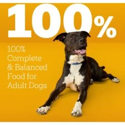 Pedigree High Protein Beef & Lamb Flavor Dog Kibble Adult Dry Dog Food -Snuggle Paws 958998 PT8. AC SS1800 V1695064033