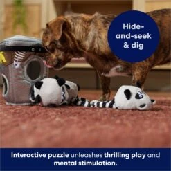 Frisco Volcano Hide & Seek Puzzle Plush Squeaky Dog Toy & Frisco Trash Can & Raccoons Hide & Seek Puzzle Plush Squeaky Dog Toy 19 Frisco Volcano Hide & Seek Puzzle Plush Squeaky Dog Toy & Frisco Trash Can & Raccoons Hide & Seek Puzzle Plush Squeaky Dog Toy -Snuggle Paws 962054 PT8. AC SS1800 V1694783037