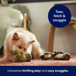 Frisco Volcano Hide & Seek Puzzle Plush Squeaky Dog Toy Refills, 3 Count & Frisco Volcano Hide & Seek Puzzle Plush Squeaky Dog Toy -Snuggle Paws 962078 PT4. AC SS1800 V1694782978