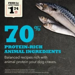 ACANA Wild Atlantic Grain-Free Dry Dog Food 14 ACANA Wild Atlantic Grain-Free Dry Dog Food -Snuggle Paws 96309 PT3. AC SS1800 V1691002890