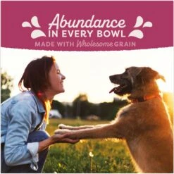 Natural Balance Fat Dogs Chicken & Salmon Formula Low Calorie Dry Dog Food -Snuggle Paws 963702 PT5. AC SS1800 V1695055625