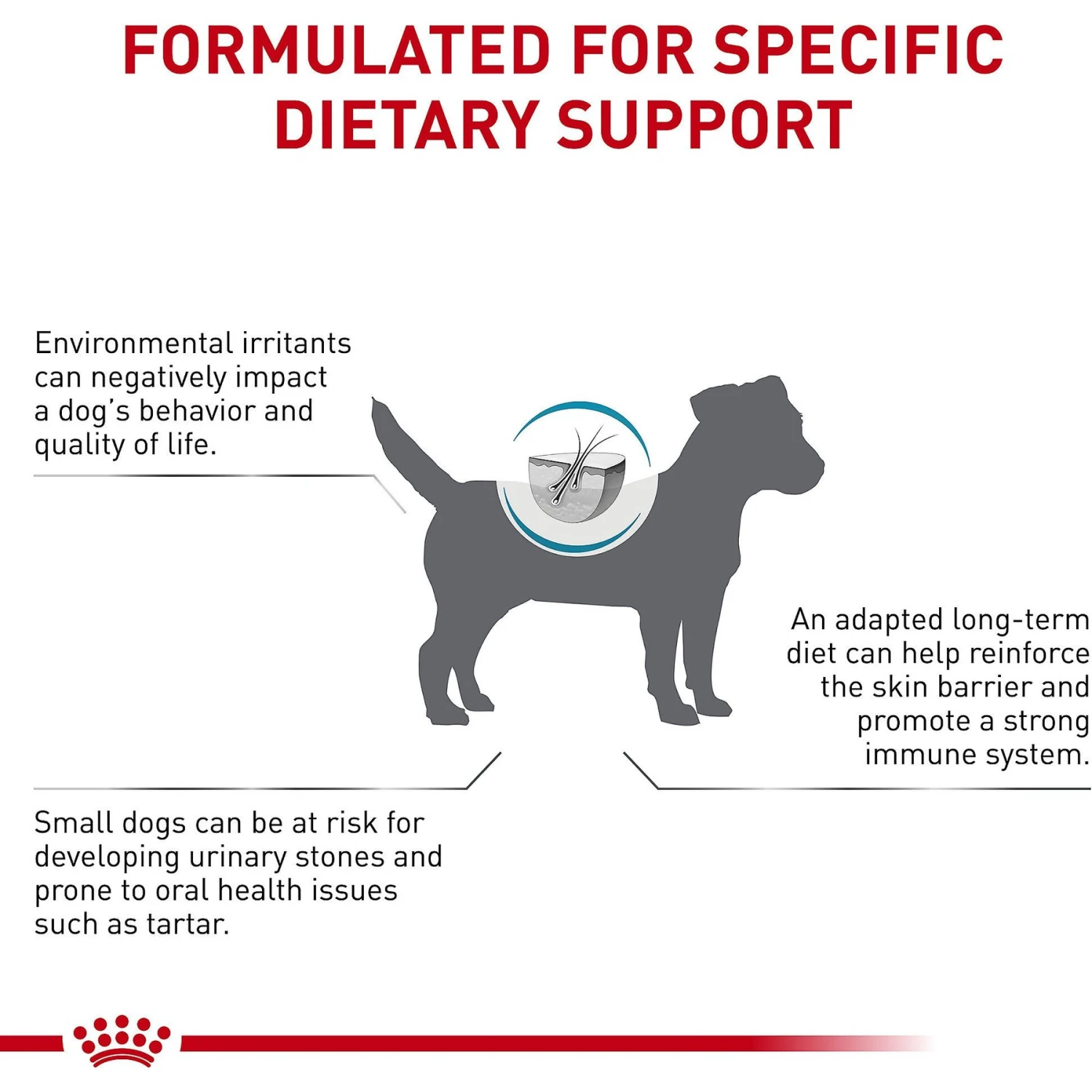 Royal Canin Veterinary Diet Skintopic Small Dog Adult Dry Dog Food, 8.8-lb Bag 7 Royal Canin Veterinary Diet Skintopic Small Dog Adult Dry Dog Food, 8.8-lb Bag - Image 5