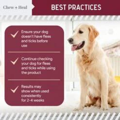 Chew + Heal Flea & Tick Support Soft Chew Supplement For Dogs, 180 Count -Snuggle Paws 983174 PT3. AC SS1800 V1699634833