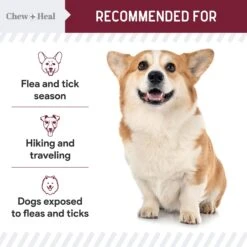 Chew + Heal Flea & Tick Support Soft Chew Supplement For Dogs, 180 Count -Snuggle Paws 983174 PT5. AC SS1800 V1699634834