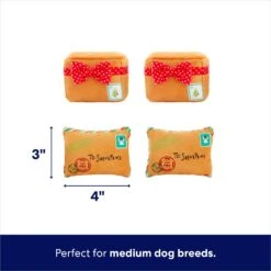 Frisco Holiday Hot Cocoa Hide & Seek Puzzle Plush Squeaky Dog Toy & Frisco Holiday North Pole Mailbox Hide & Seek Puzzle Plush Squeaky Dog Toy -Snuggle Paws 986166 PT7. AC SS1800 V1698258463